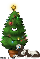 Dressed pet