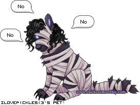 Dressed pet