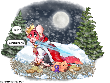 Dressed pet