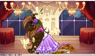Dressed pet