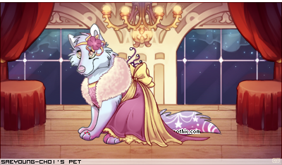 Dressed pet