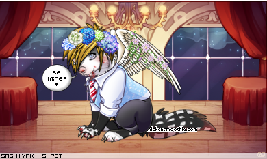 Dressed pet