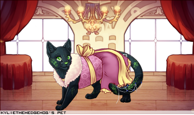 Dressed pet