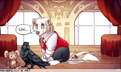 Dressed pet