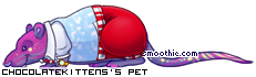 Dressed pet