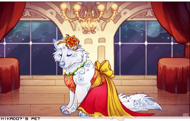 Dressed pet