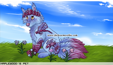 Dressed pet