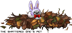 Dressed pet