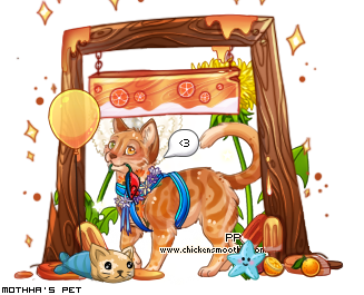 Dressed pet