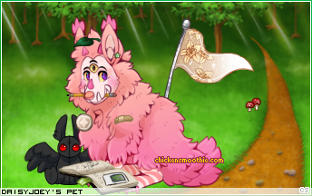Dressed pet