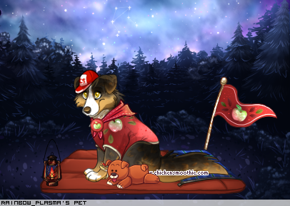 Dressed pet