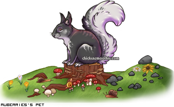Dressed pet