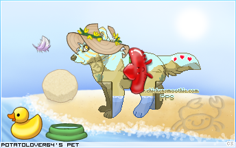 Dressed pet