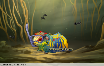 Dressed pet