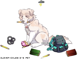 Dressed pet