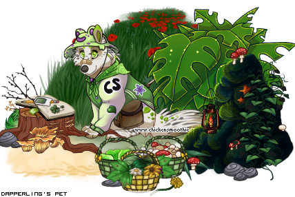 Dressed pet
