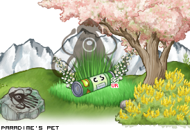 Dressed pet
