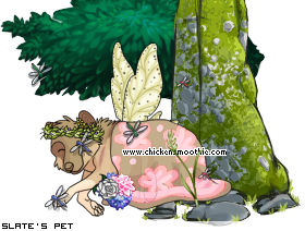 Dressed pet