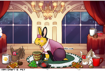 Dressed pet