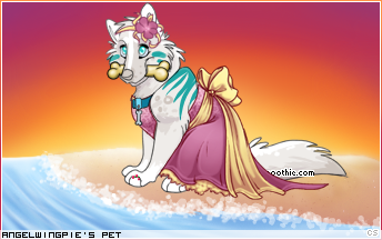Dressed pet