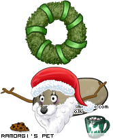 Dressed pet