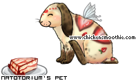Dressed pet