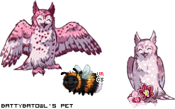 Dressed pet