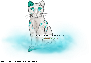 Dressed pet