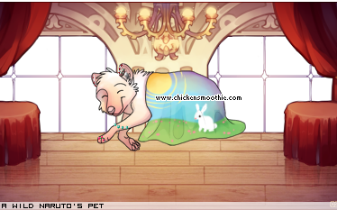Dressed pet