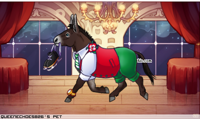 Dressed pet