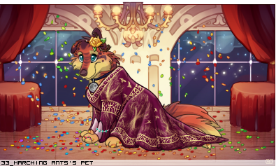 Dressed pet