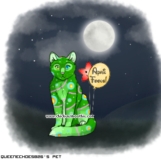 Dressed pet