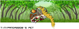 Dressed pet