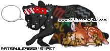 Dressed pet