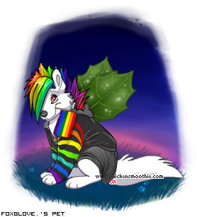 Dressed pet
