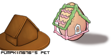 Dressed pet