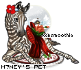 Dressed pet