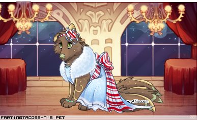 Dressed pet