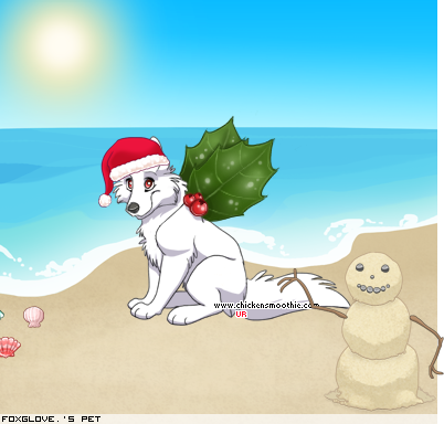 Dressed pet