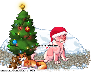 Dressed pet