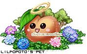 Dressed pet
