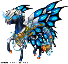 Dressed pet
