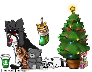 Dressed pet