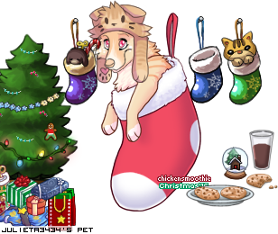 Dressed pet
