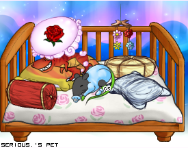 Dressed pet