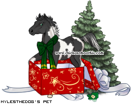 Dressed pet