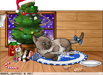 Dressed pet