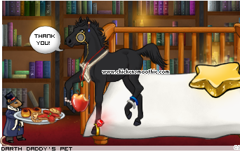 Dressed pet