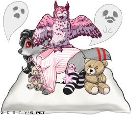 Dressed pet