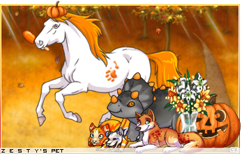 Dressed pet